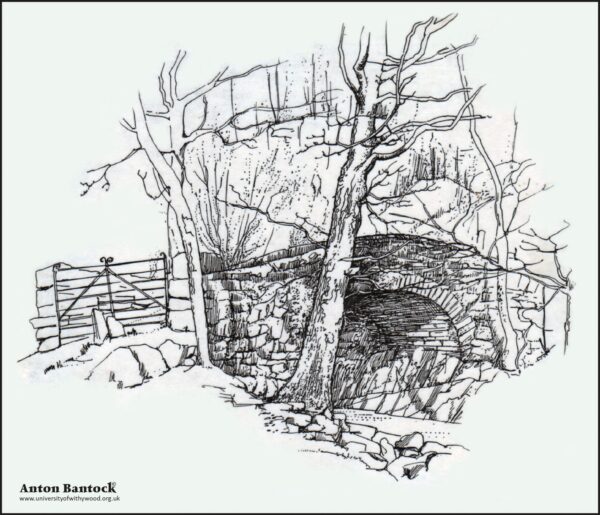 Cwm Bychan