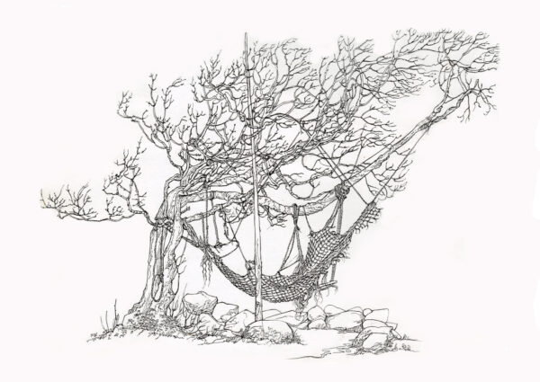 Hen Gaerfynnon Hammock