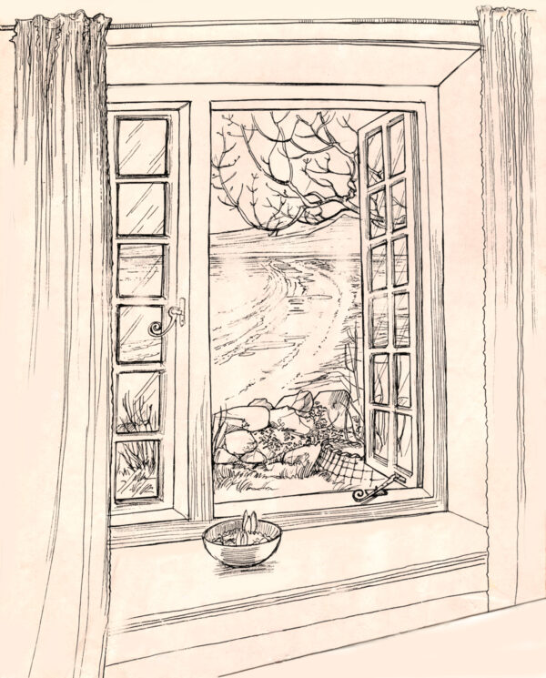 Hen Gaerfynnon Window